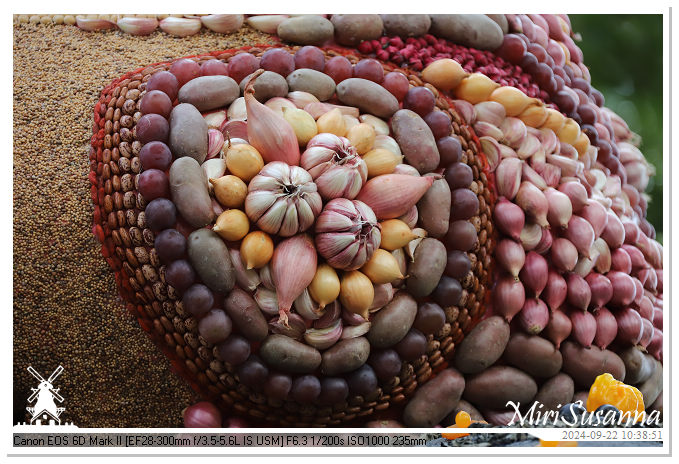 Fruitcorso Tiel 2024 IMG_1019