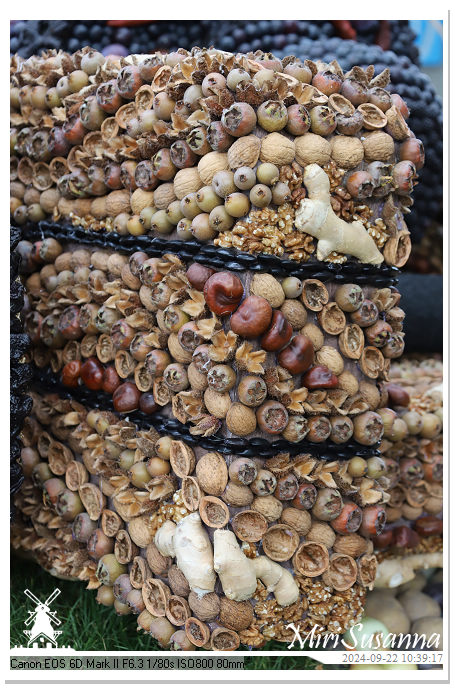 Fruitcorso Tiel 2024 IMG_1021