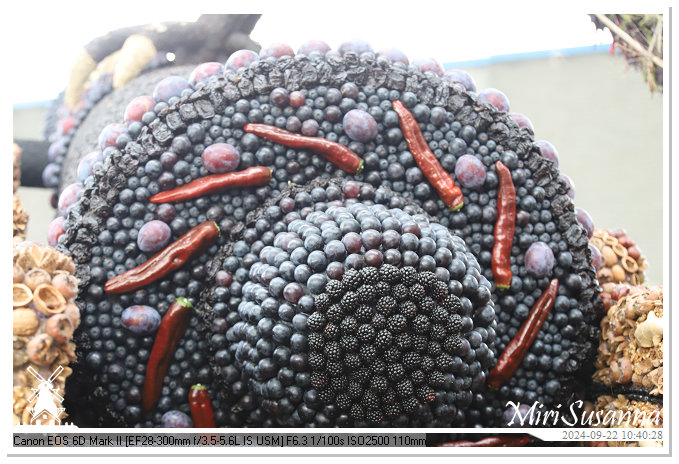 Fruitcorso Tiel 2024 IMG_1027