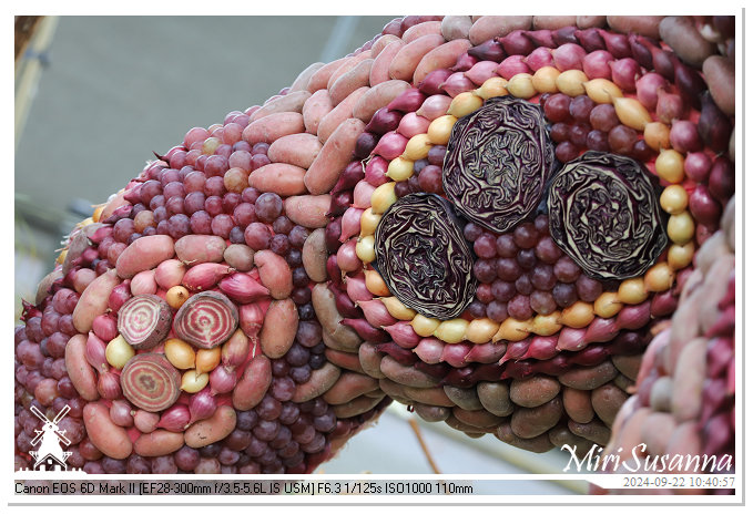 Fruitcorso Tiel 2024 IMG_1029