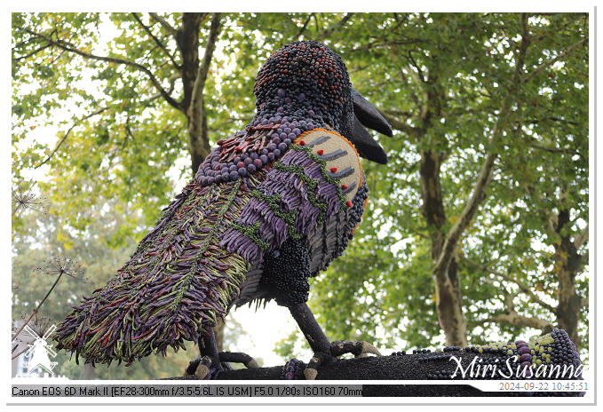 Fruitcorso Tiel 2024 IMG_1041