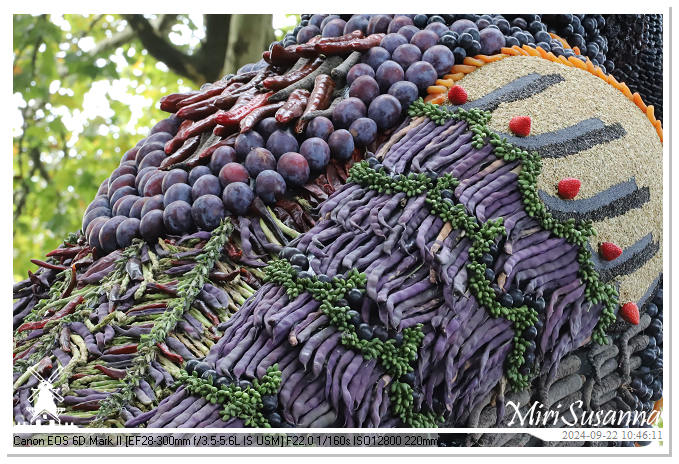 Fruitcorso Tiel 2024 IMG_1043