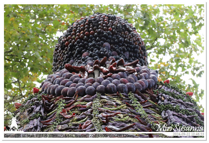 Fruitcorso Tiel 2024 IMG_1045