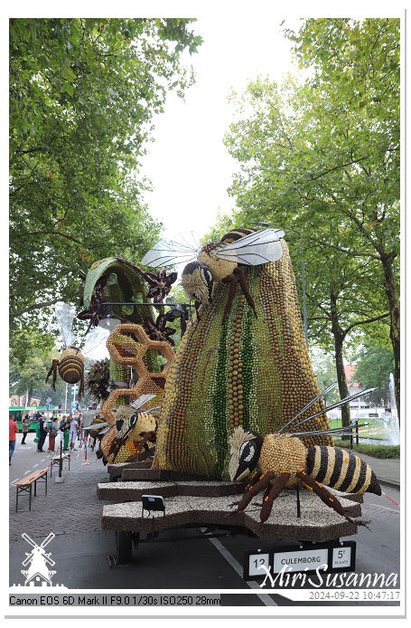 Fruitcorso Tiel 2024 IMG_1046