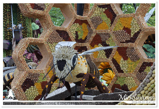 Fruitcorso Tiel 2024 IMG_1048