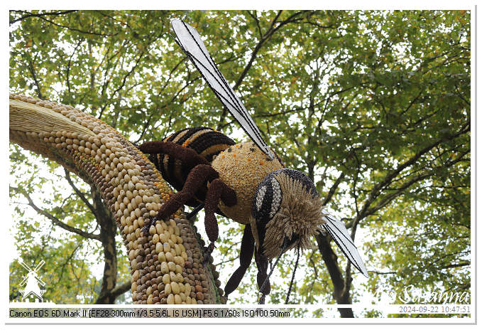Fruitcorso Tiel 2024 IMG_1049