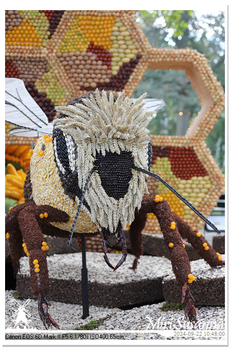 Fruitcorso Tiel 2024 IMG_1050