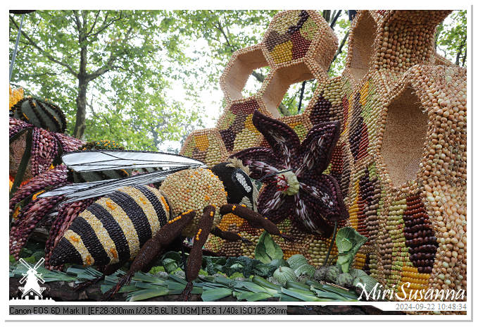 Fruitcorso Tiel 2024 IMG_1051