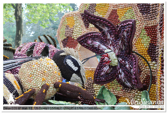 Fruitcorso Tiel 2024 IMG_1052