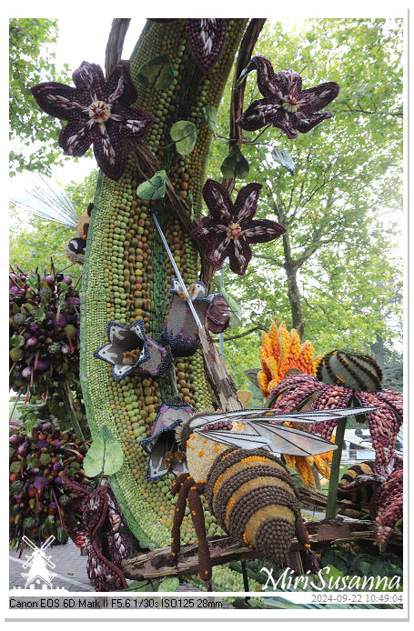 Fruitcorso Tiel 2024 IMG_1053