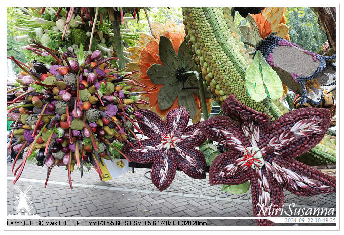 Fruitcorso Tiel 2024 IMG_1054