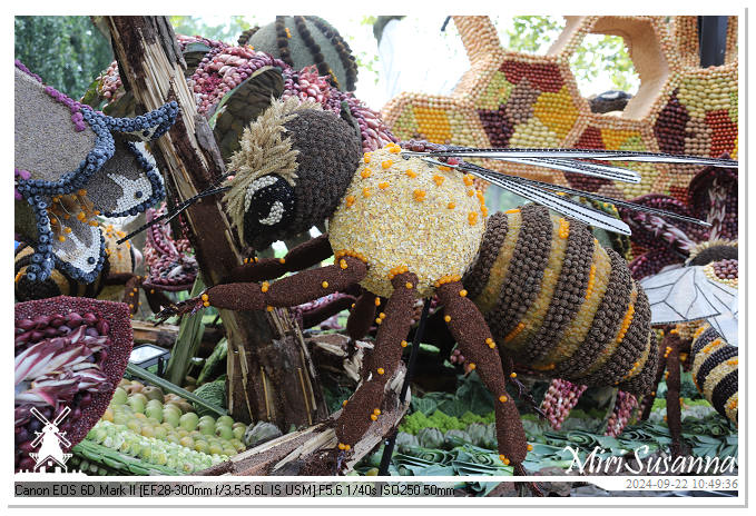 Fruitcorso Tiel 2024 IMG_1055