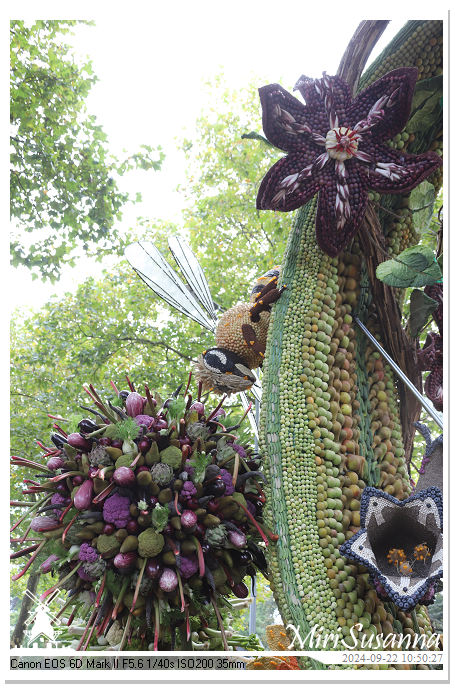 Fruitcorso Tiel 2024 IMG_1058