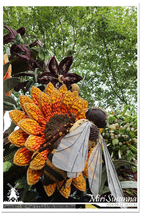 Fruitcorso Tiel 2024 IMG_1061