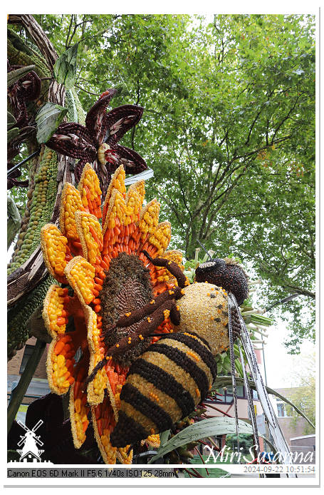 Fruitcorso Tiel 2024 IMG_1062