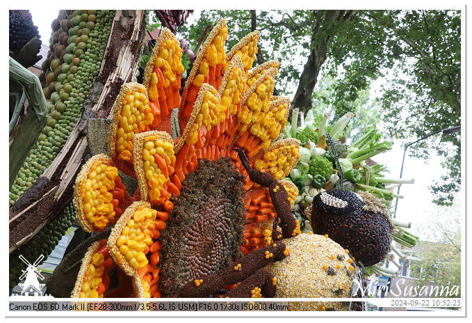 Fruitcorso Tiel 2024 IMG_1063