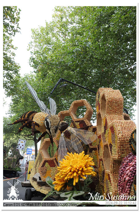 Fruitcorso Tiel 2024 IMG_1064