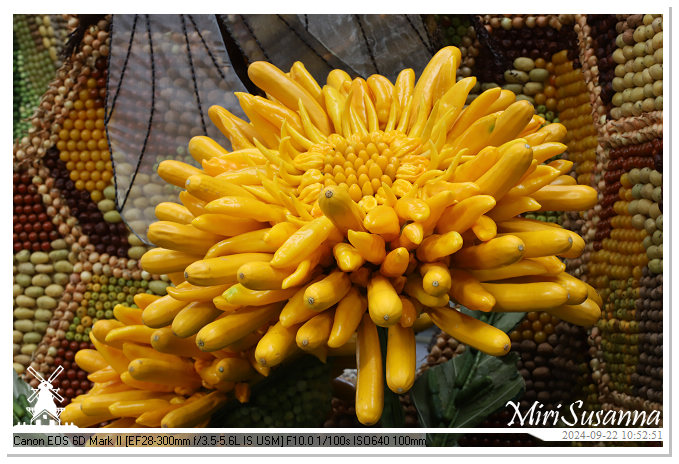 Fruitcorso Tiel 2024 IMG_1065