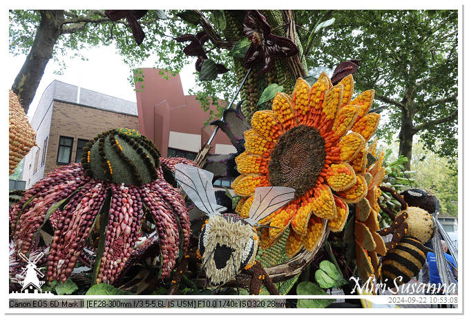 Fruitcorso Tiel 2024 IMG_1066