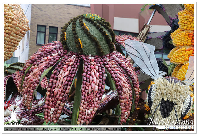 Fruitcorso Tiel 2024 IMG_1067