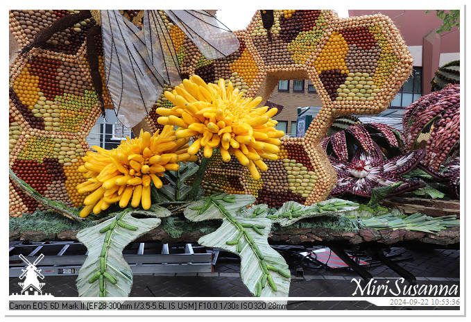 Fruitcorso Tiel 2024 IMG_1069