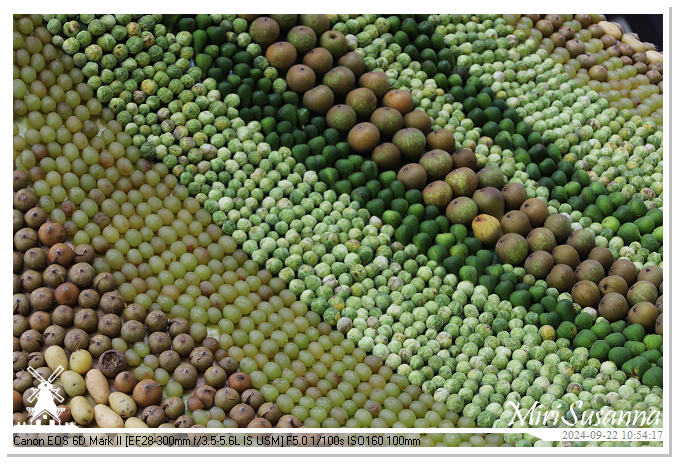 Fruitcorso Tiel 2024 IMG_1071