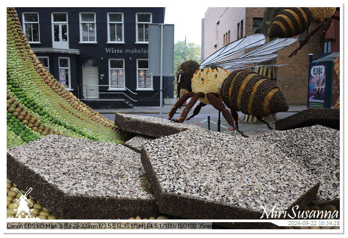 Fruitcorso Tiel 2024 IMG_1072