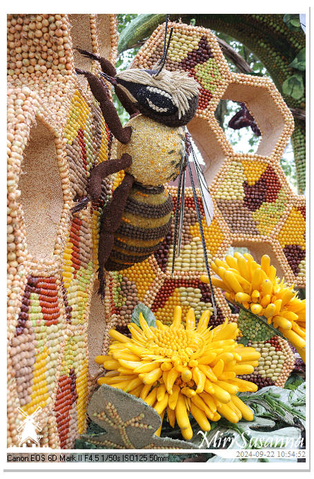 Fruitcorso Tiel 2024 IMG_1074