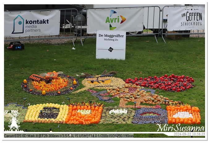 Fruitcorso Tiel 2024 IMG_1078