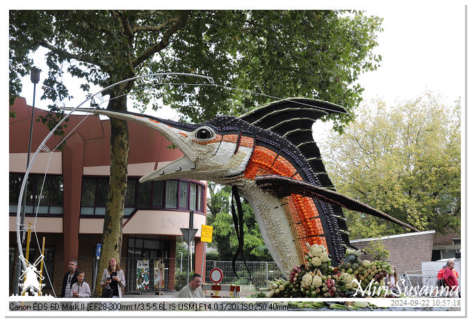 Fruitcorso Tiel 2024 IMG_1082