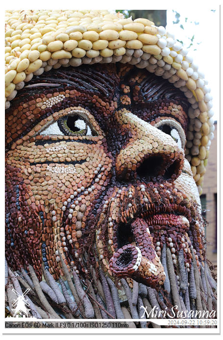 Fruitcorso Tiel 2024 IMG_1088