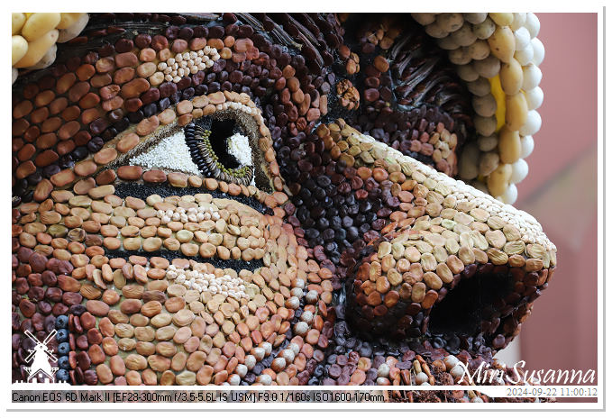 Fruitcorso Tiel 2024 IMG_1090