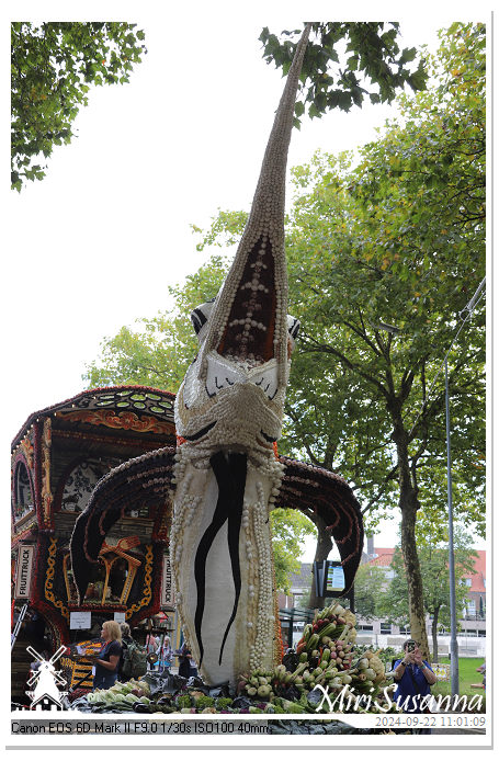 Fruitcorso Tiel 2024 IMG_1092