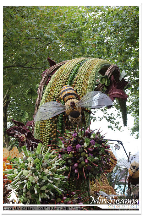 Fruitcorso Tiel 2024 IMG_1095