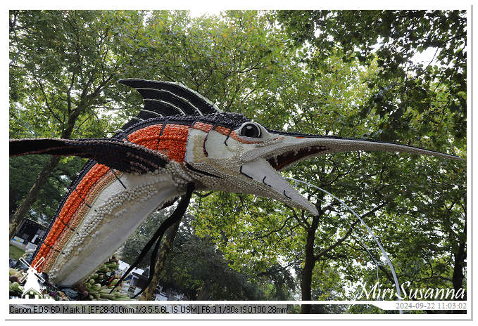 Fruitcorso Tiel 2024 IMG_1097