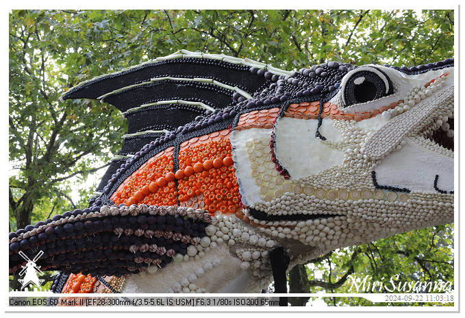 Fruitcorso Tiel 2024 IMG_1098