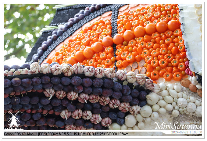 Fruitcorso Tiel 2024 IMG_1100