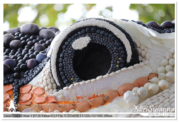 Fruitcorso Tiel 2024 IMG_1101