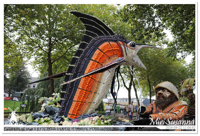 Fruitcorso Tiel 2024 IMG_1102