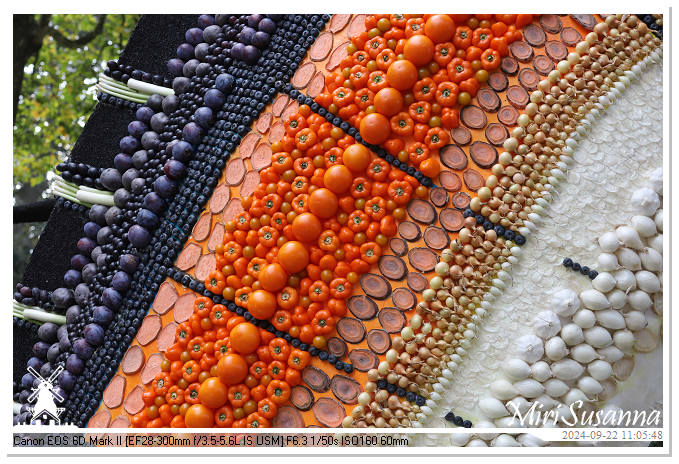 Fruitcorso Tiel 2024 IMG_1105