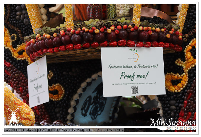 Fruitcorso Tiel 2024 IMG_1109