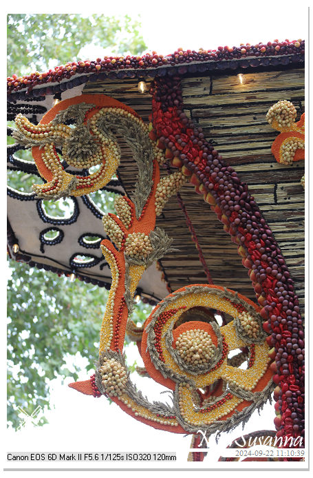 Fruitcorso Tiel 2024 IMG_1115