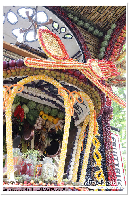 Fruitcorso Tiel 2024 IMG_1118