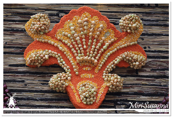 Fruitcorso Tiel 2024 IMG_1121