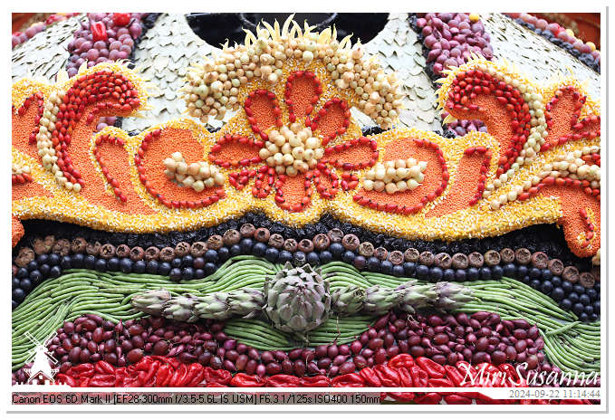 Fruitcorso Tiel 2024 IMG_1126