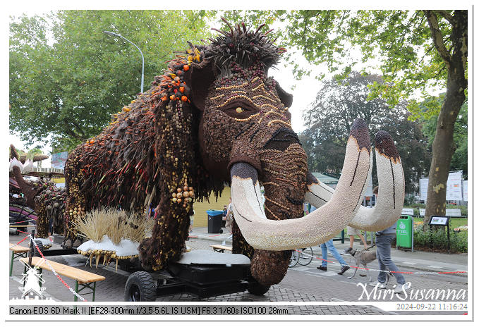 Fruitcorso Tiel 2024 IMG_1127