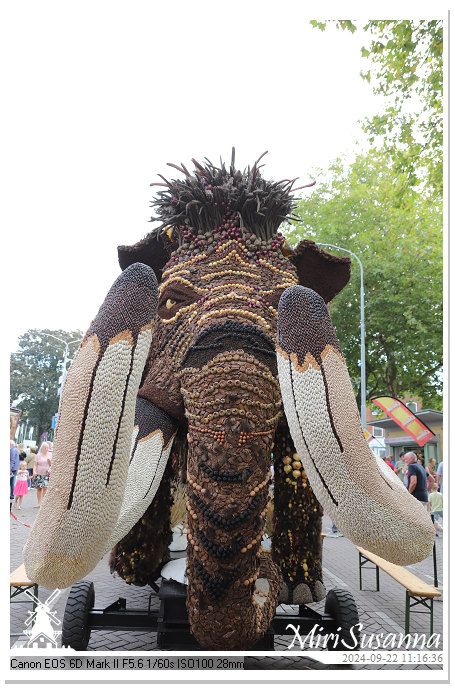 Fruitcorso Tiel 2024 IMG_1128