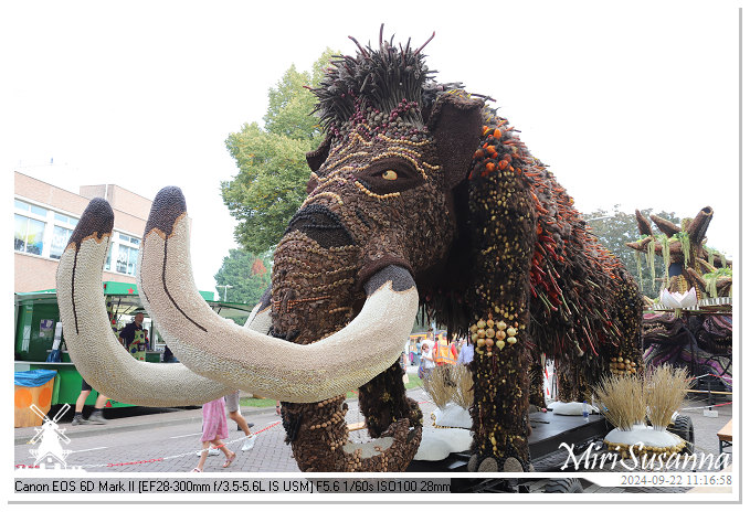 Fruitcorso Tiel 2024 IMG_1129
