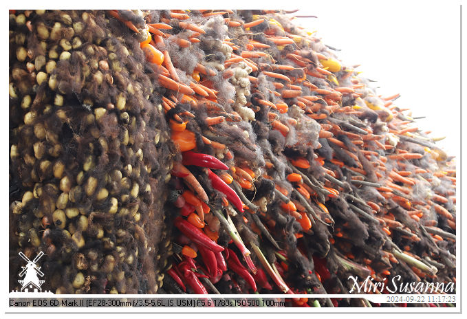 Fruitcorso Tiel 2024 IMG_1131