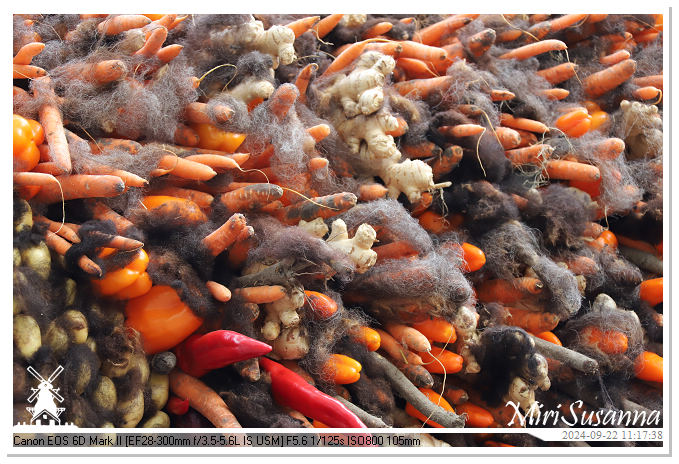 Fruitcorso Tiel 2024 IMG_1132